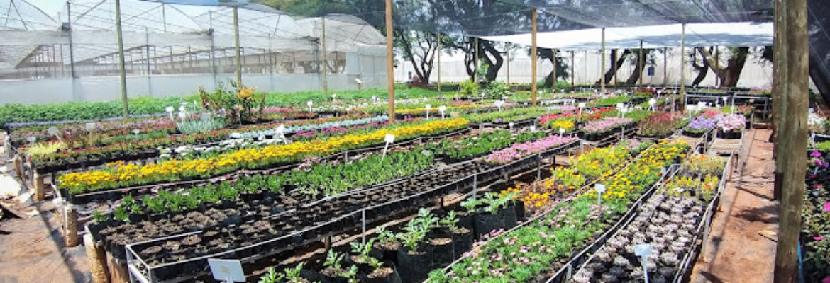 Kings Kloof Nursery