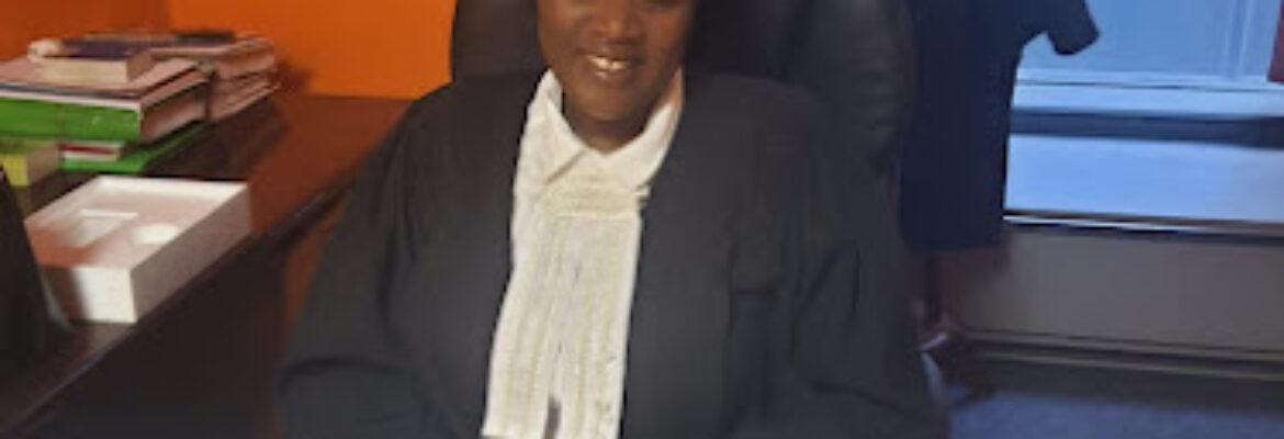 N Ndebele Inc. Attorneys