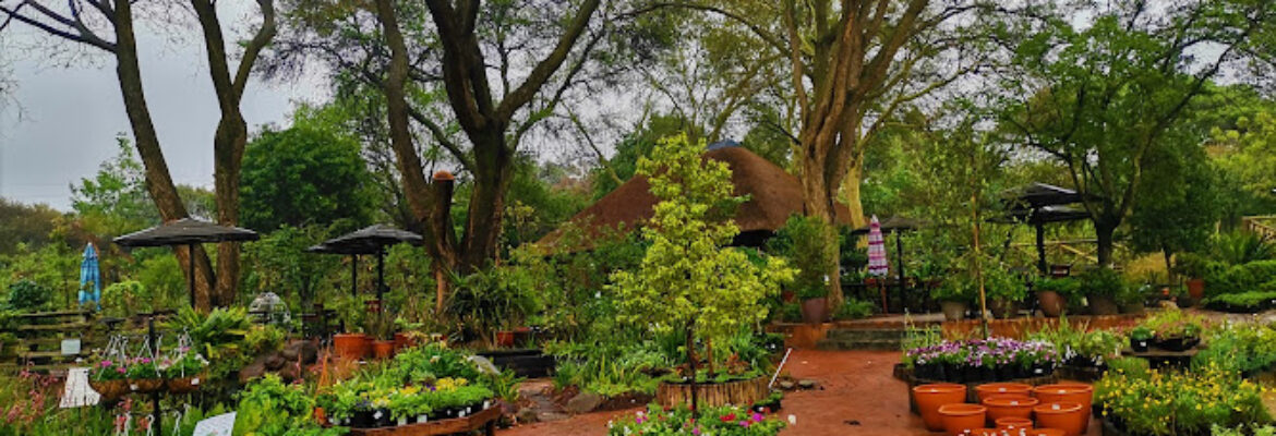 Random Harvest Indigenous Nursery