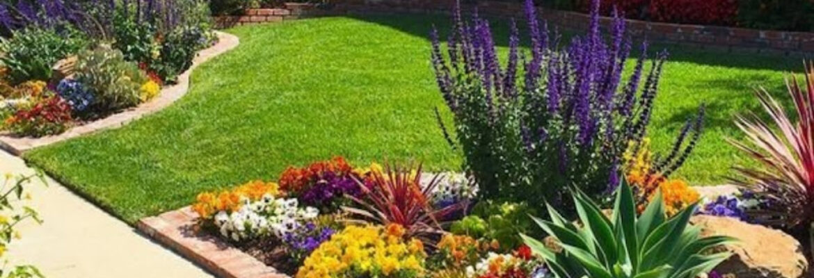 Impangele landscapes & garden services