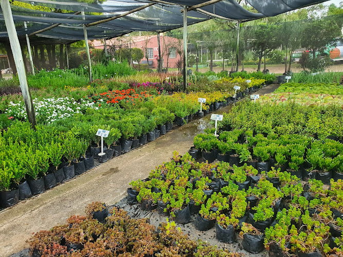 Wholesale plant nurseryGlover Rd