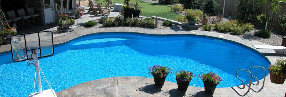 Pool Services – Randburg ‍ ️