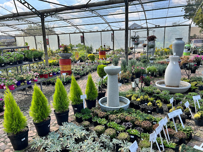 Plant nursery148 N Rand Rd