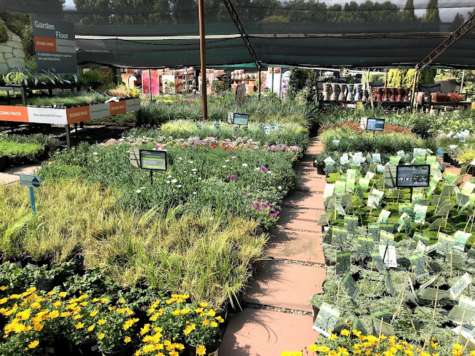 Plant nursery167 Jan Smuts Ave