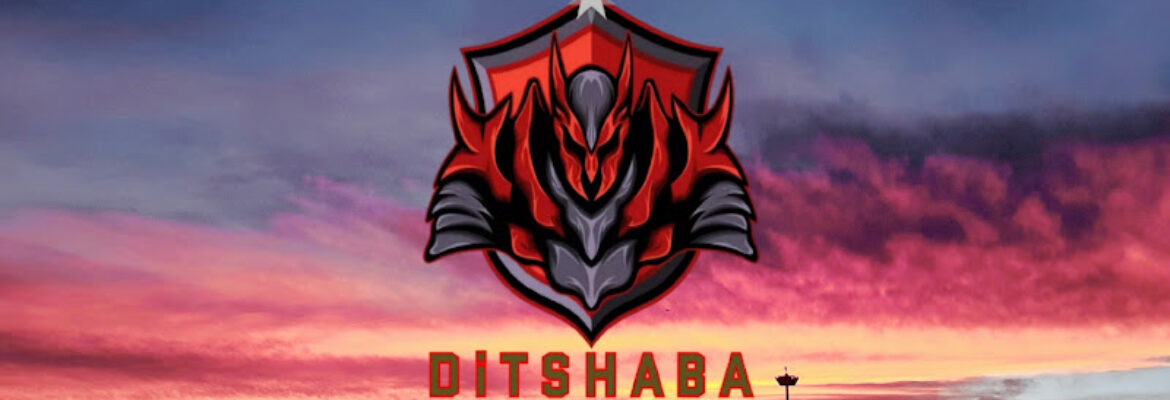 Ditshaba Protec Serv (PTY) LTD.