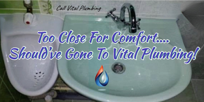 Vital Plumbing