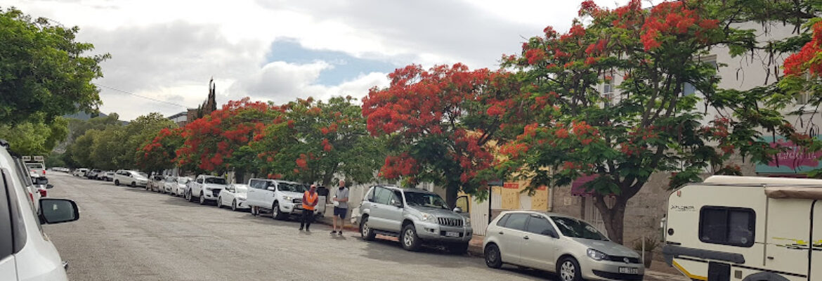 Our Yard Graaff-Reinet