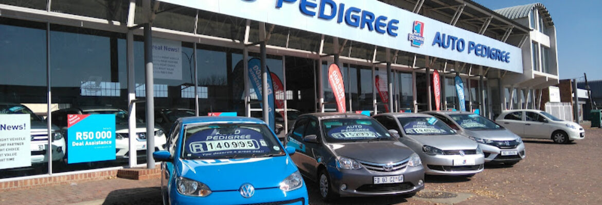 Auto Pedigree Welkom