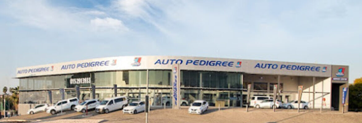 Auto Pedigree Service Centre Polokwane