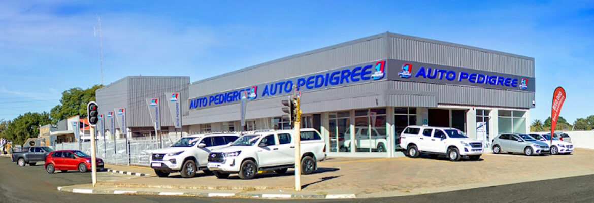 Auto Pedigree Lichtenburg