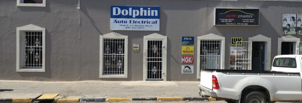 Dolphin Auto Electrical